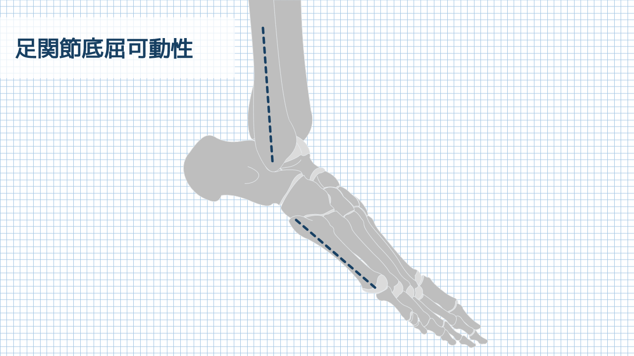 【運動器リハのすゝめ】足部・足関節の可動性検査