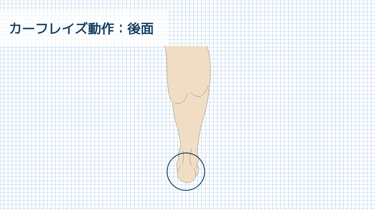 【運動器リハのすゝめ】足部・足関節の動的機能評価
