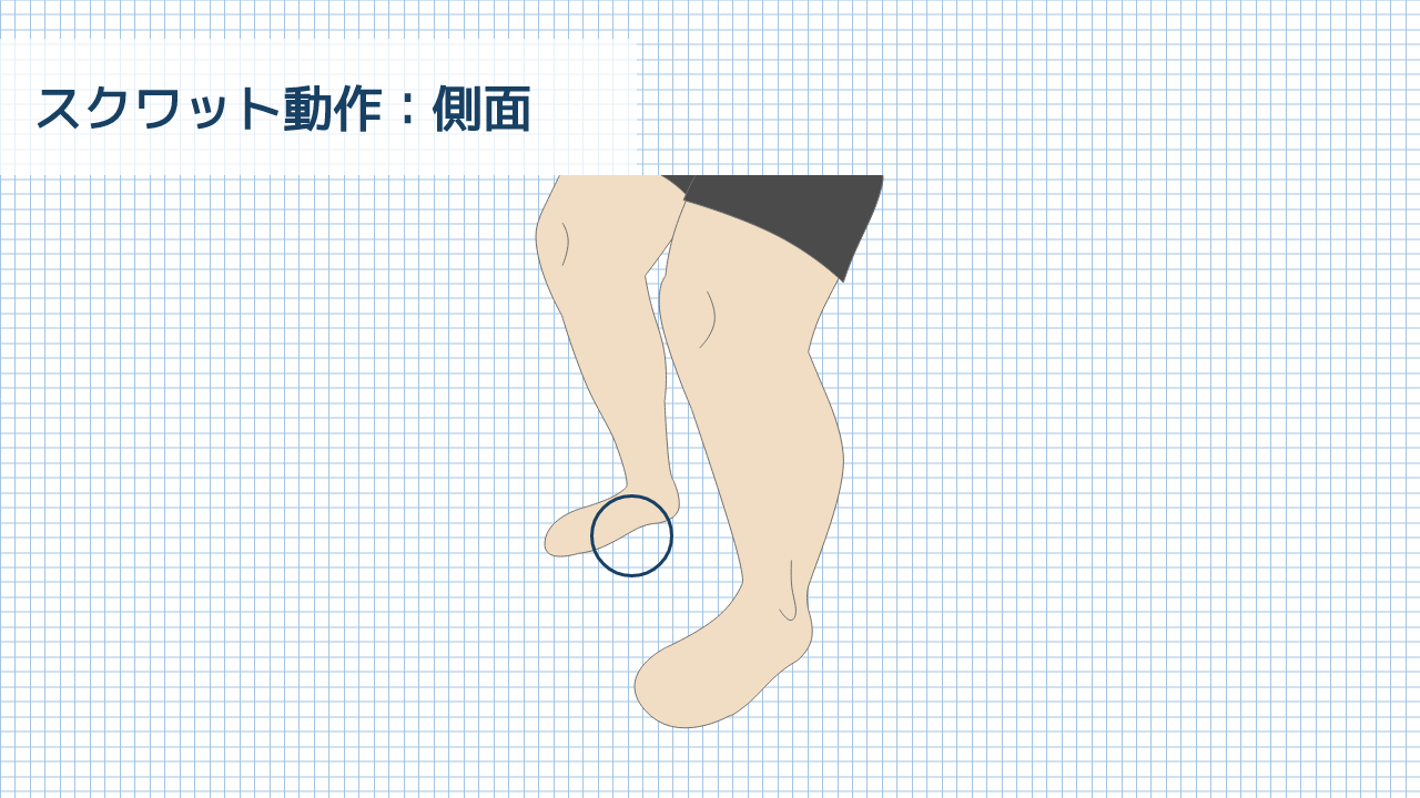 【運動器リハのすゝめ】足部・足関節の動的機能評価